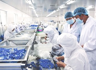 J9集团|国际站官网